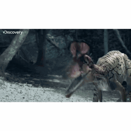 a discovery channel advertisement of a dinosaur