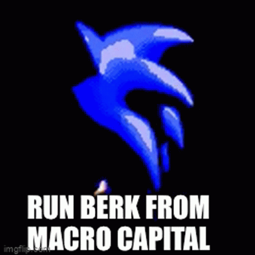 Berk Macro Capital GIF - Berk Macro Capital GIFs
