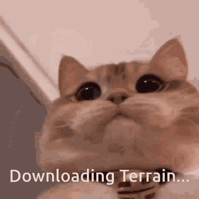 Downloading Terrain GIF - Downloading Terrain Cat GIFs