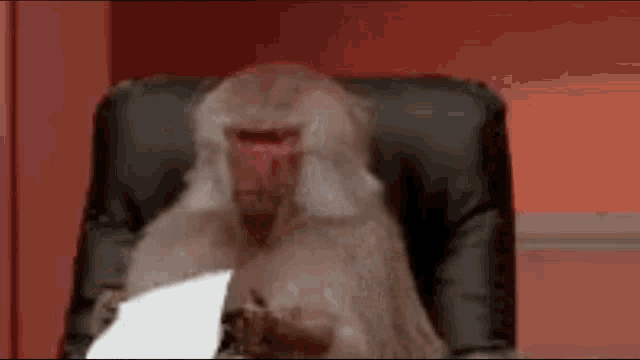 a monkey is sitting in an office chair with a piece of paper in its hand