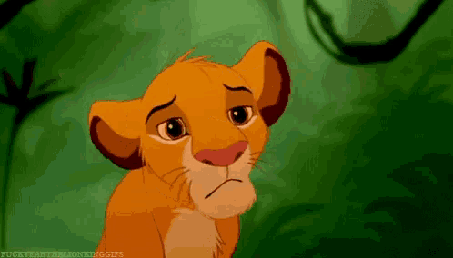 a lion cub with a sad look on its face