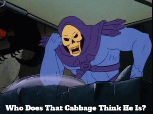 Skeletor Who Does That Cabbage Think He Is GIF - Skeletor Who Does That Cabbage Think He Is Cabbage GIFs