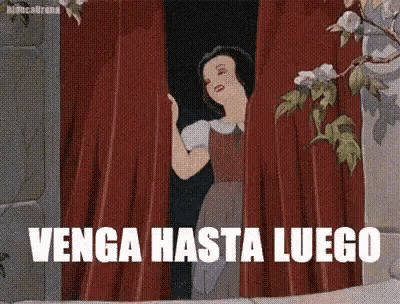 a cartoon of snow white peeking out from behind a red curtain with the words venga hasta luego in white letters .