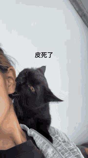 a black cat is licking a woman 's ear with chinese writing behind it
