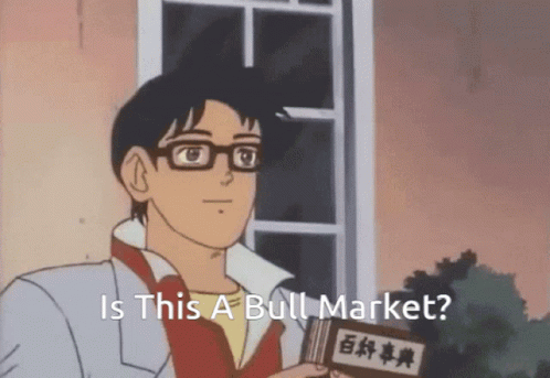 Ginbay Bearnation GIF - Ginbay Bearnation Is This A Bull Market GIFs