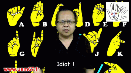 Idiot Lsf Usm67 Idiot Usm67 GIF - Idiot Lsf Usm67 Idiot Usm67 Sign Language GIFs