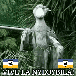 a black and white photo of a bird with the words vive la nyeoybila written below it