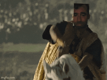 a man is riding on the back of a white horse in a field .