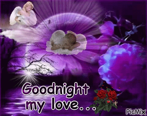 Goodnight My Love Angel GIF - Goodnight My Love Angel Sleeping GIFs