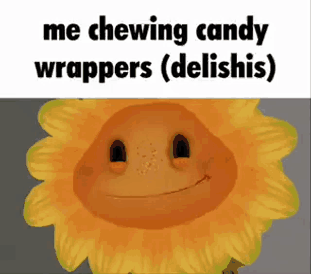 a picture of a sunflower with a caption that says me chewing candy wrappers ( delishes )