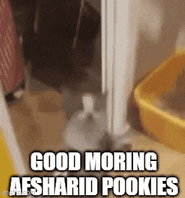 a rabbit is standing next to a yellow bucket with the words `` good morning afsharid pookies '' written on it .