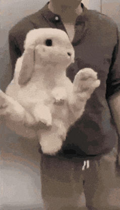 a man in a brown shirt is holding a white rabbit on its hind legs .