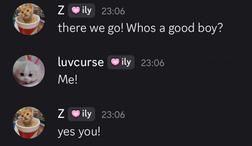 a screenshot of a text message between z ily and luvcurse