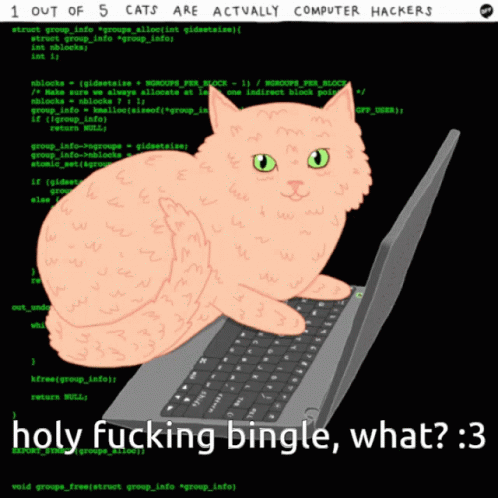Cat Bingle GIF - Cat Bingle Hacking GIFs