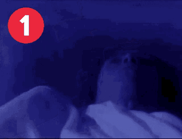 a red circle with a number one on it