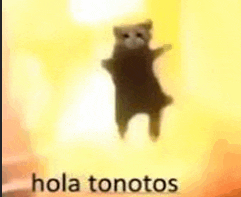 a cat is jumping in the air in front of a yellow background with the words hola tonotos .