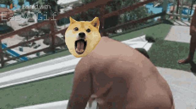 a picture of a doge with its mouth wide open