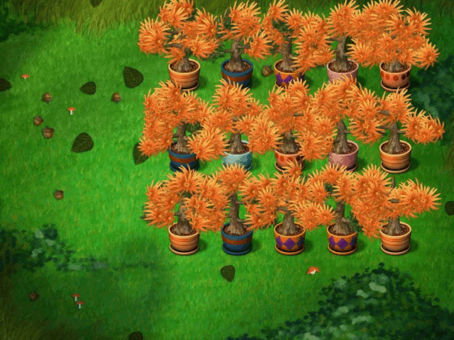 a bunch of potted plants with orange leaves on a green field