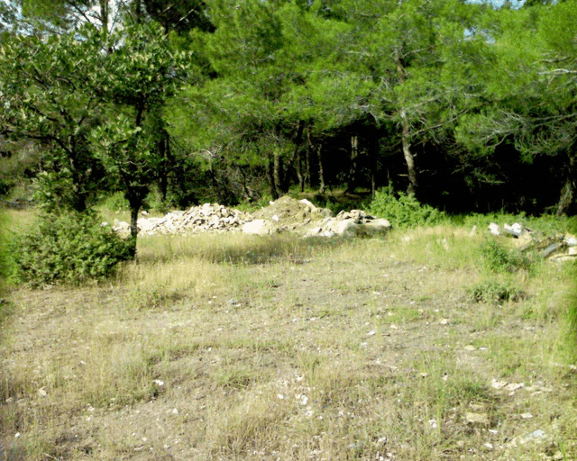 a field with trees in the background and a pile of rocks