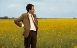 a man in a suit and tie is standing in a field of yellow flowers with his hands on his hips .