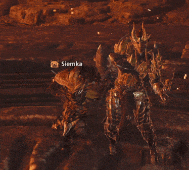 a video game character named siemka is standing in a dark room