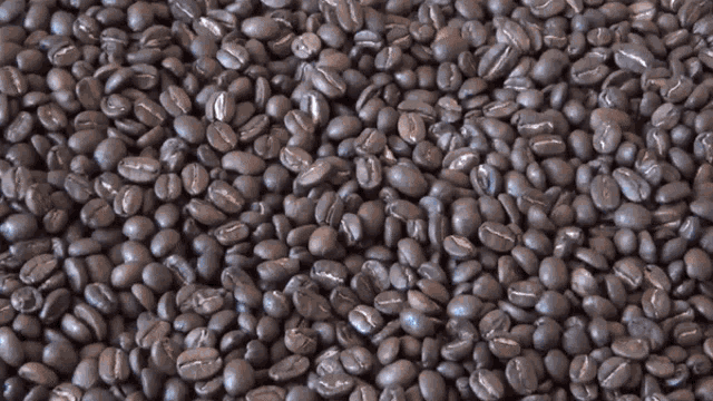 a close up of a pile of coffee beans with a few missing