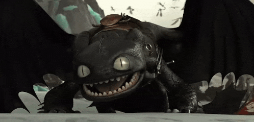 toothless from how to train your dragon is smiling and looking at the camera while wearing a helmet .
