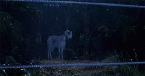Jurassic Park Raining GIF - Jurassic Park Raining Goat GIFs