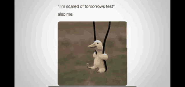 a stuffed duck is hanging from a string and says `` i 'm scared of tomorrows test ''