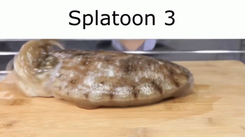 Splatoon Splatoon2 GIF - Splatoon Splatoon2 Splatoon3 GIFs