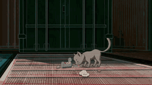 a cat is sniffing a piece of paper on the ground