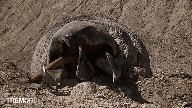 Dying Monster GIF - Dying Monster Sandworm GIFs