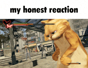 a picture of a cat with the words " my honest reaction " below it
