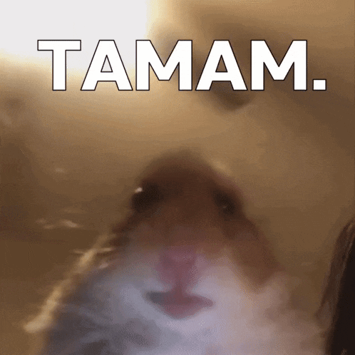 a close up of a hamster 's face with the words taman written above it