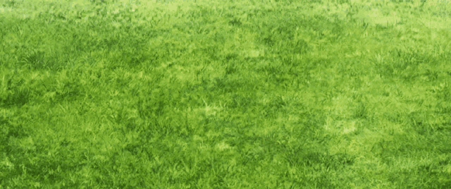 a person wearing a pair of white shoes walking on a grassy field