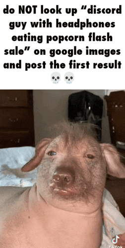 a picture of a pig with the caption " do not look up "