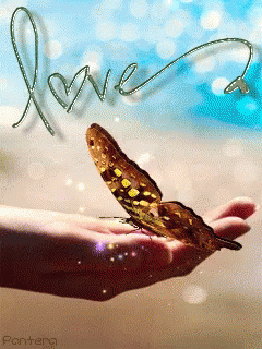 Love Butterfly GIF - Love Butterfly Insect GIFs