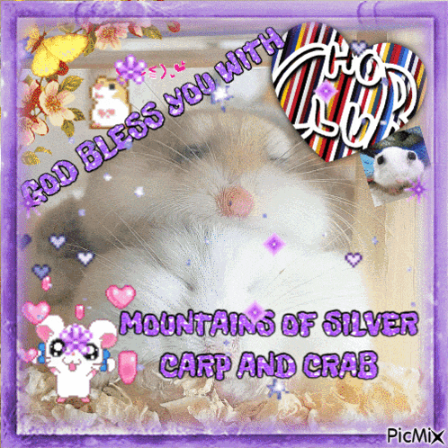 a picture of a hamster with the words god bless you with mountains of silver carp and crab on it