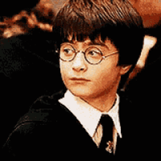 harry potter is wearing glasses and a tie and looking at the camera .
