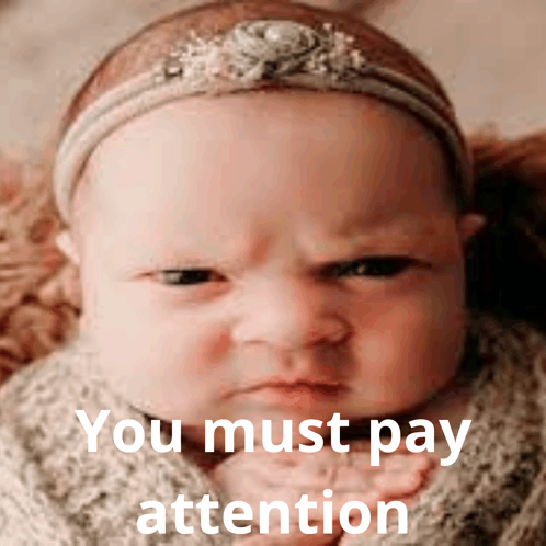 You Must Pay Attention GIF - You Must Pay Attention You Must GIFs