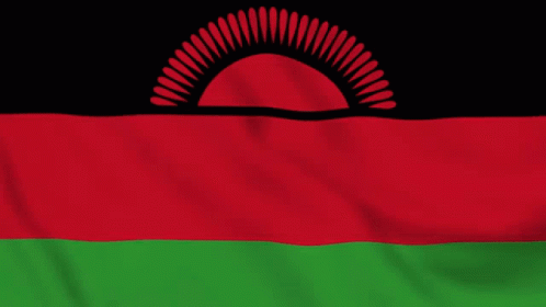Malawi Flag Gif GIF - Malawi Flag Gif Africa GIFs