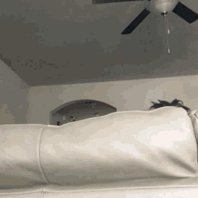 a living room with a ceiling fan and a couch