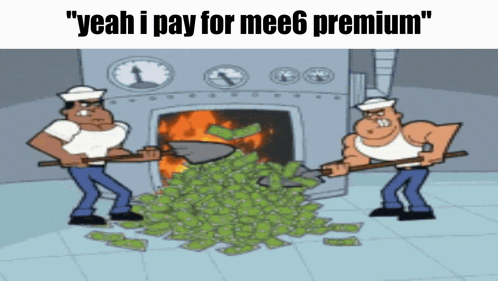 Mee6 Premium Wasting Money GIF