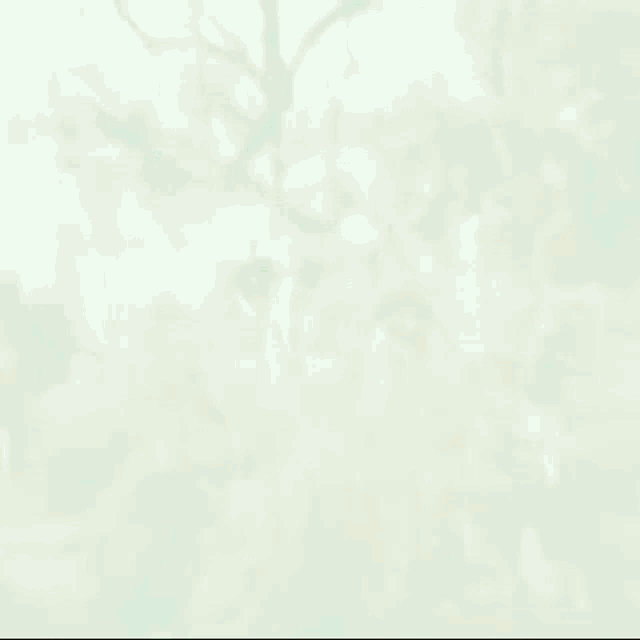 a blurry picture of a group of people in a forest