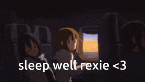 a group of anime girls are sleeping on a plane with the words sleep well rexie < 3 above them