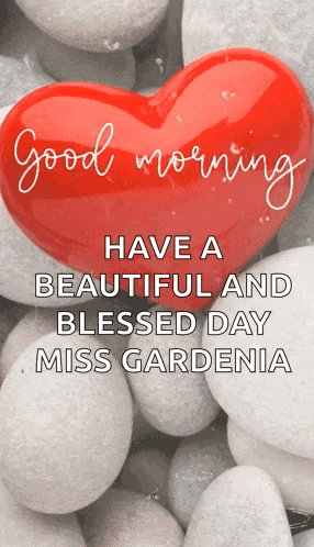 a red heart with the words good morning have a beautiful and blessed day miss gardenia above it