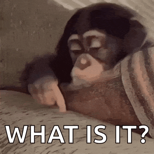 a chimpanzee is laying on a couch and pointing at something with its finger .