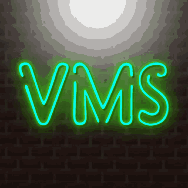 Vmsminecraftserver GIF - Vmsminecraftserver GIFs
