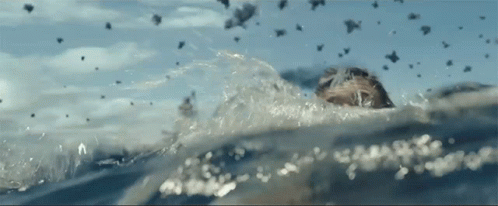 Treading Water Swimming GIF - Treading Water Swimming Staying Afloat GIFs