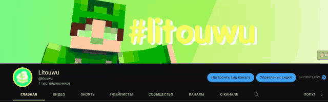 a minecraft character with the hashtag #litouryu on the top